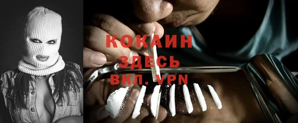 твердый Алзамай