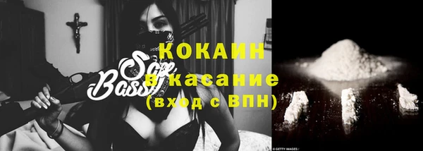 твердый Алзамай