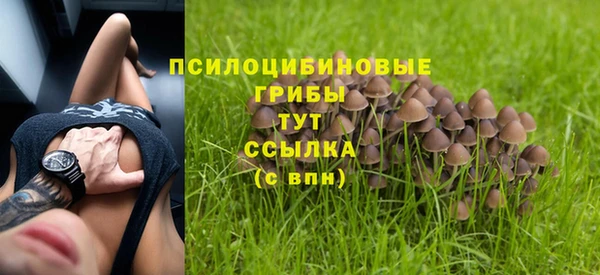 твердый Алзамай