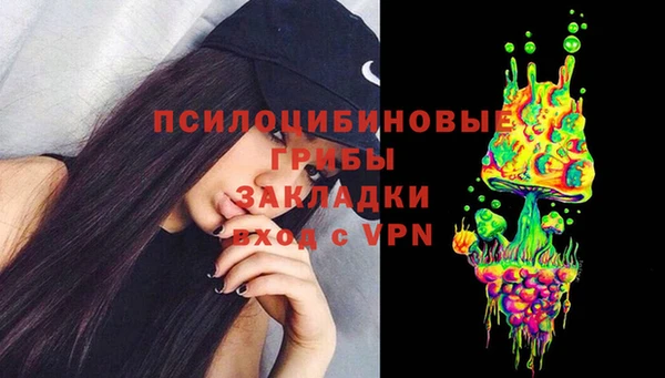 винт Алексин