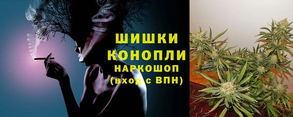 твердый Алзамай