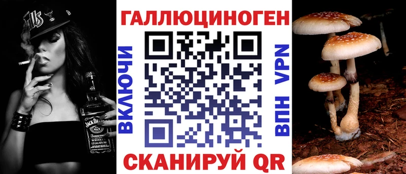 hydra tor  где продают   Комсомольск  Псилоцибиновые грибы мицелий 