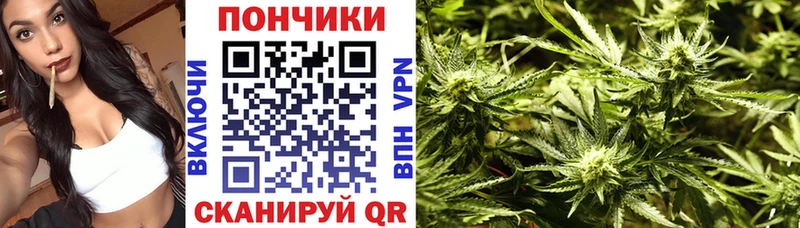 где купить   Комсомольск  Конопля марихуана 